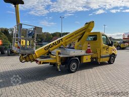 Ruthmann TB 220 ( 10209 )