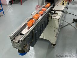 Sorma Group PK10 112SB Auto Punnet Netting Machine