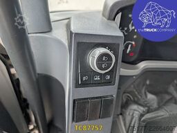 Renault T 480