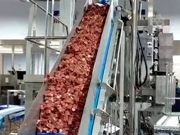 Multivac Complete packaging line T400