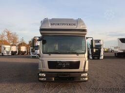 MAN TGL 12.250 BL 4x2 für 5 Pferde Aufbau Bj.: 2022