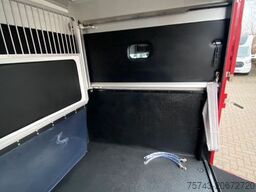 RENAULT MASTER AKX NEW MODELL  2025 5 Sitzer Haras ex. L