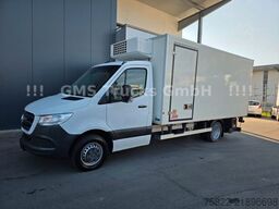 MERCEDES-BENZ Sprinter 516 / Frigo / Thermo King Cool/Wenig Km