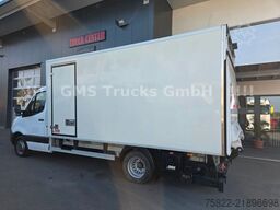 MERCEDES-BENZ Sprinter 516 / Frigo / Thermo King Cool/Wenig Km