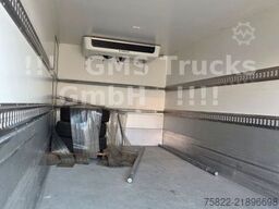 MERCEDES-BENZ Sprinter 516 / Frigo / Thermo King Cool/Wenig Km