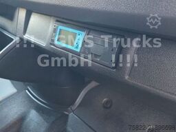 MERCEDES-BENZ Sprinter 516 / Frigo / Thermo King Cool/Wenig Km