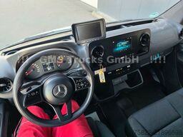 MERCEDES-BENZ Sprinter 516 / Frigo / Thermo King Cool/Wenig Km