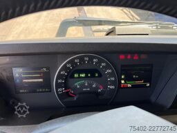 Volvo FH 13.500 / Globetrotter / Euro 6 / Engine Problem