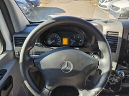 MERCEDES-BENZ Sprinter 316 CDI THERMO KING V300 0°FRISCHDIENST
