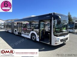 MAN A 23 Lions City G / O 530 G Citaro