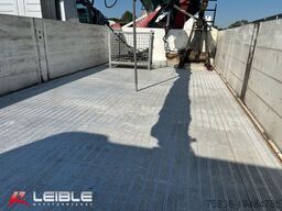 DAF XF480 FAN *Baustoff*Fassi F135 A2.22*Lift/Lenk*