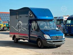 MERCEDES-BENZ Sprinter 319 CDi KHG Mystic Pferdetransporter