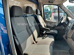 MERCEDES-BENZ Sprinter 319 CDi KHG Mystic Pferdetransporter