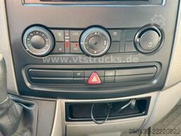 MERCEDES-BENZ Sprinter 319 CDi KHG Mystic Pferdetransporter