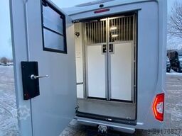 RENAULT Master STX Haras 5 Sitzer TÜV NEU