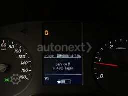 MERCEDES-BENZ Sprinter 315 *Carrier Tiefkühler -20°* 360° (345