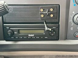 DAF LF250 FA 4x2 Hutton  Papierschredder