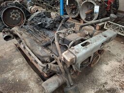 MAN D2866LUH23 (260HP)