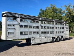 Pezzaioli 1/2/3 Livestock Type 2 Perfect condition