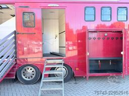 SCANIA P320 EHC Aufbau 6-7 Pferde Wohnung