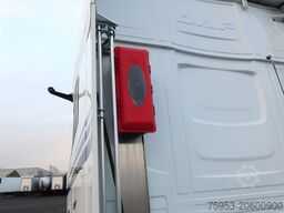 DAF XG+ 530 FT Intarder Leder LED Navi Standklima