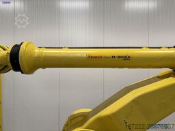 FANUC M-900iA/260L
