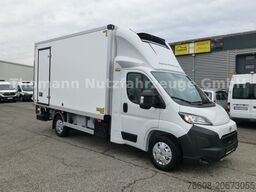 TOYOTA PROACE MAX Kühlkoffer LBW Xarios 300GH Aut. Navi