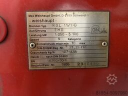 LOOS-6000kg/h-16Bar