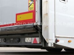  Rolfo S2 geschloss. Autotransp. Hubdach Lifbühne