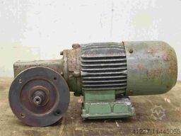 MAZ 80 SD S1 B80S/8 K4