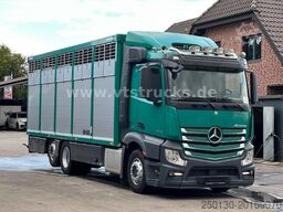 MERCEDES-BENZ Actros 2540L 6x2 1.Stock KA-BA Viehtransporter