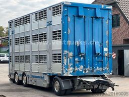 PEZZIOLI RBA31 3.Stock Viehanhänger, Hubdach, Tränke