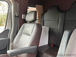 RENAULT Master Interhorse  5 Sitzer  Haras / Hengste