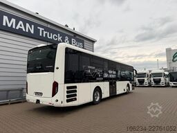 MAN Intercity  12 LE