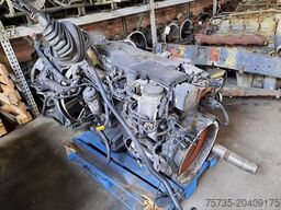 MAN D0836 LFL60 (250HP)