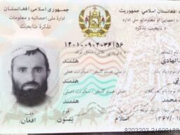 Bergagna Domenico Bergagna Domenico Bergagna Domenico