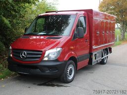 MERCEDES-BENZ Sprinter 310 Cold Car -33°C ATP 02/28