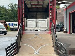 MAN TGX 26.440 3.Stock FINKL /Hubdach/Tränke/Waage