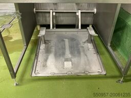 EPS meat trolley washing mascihne