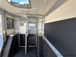 RENAULT Master STX Haras  5 Sitzer