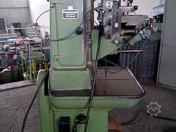 Steinbock Asset Investment Srl Steinbock Asset Investment Srl Steinbock Asset Investment Srl