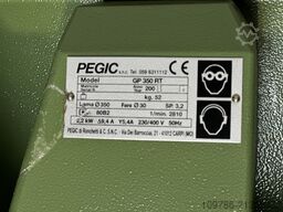 PEGIC GP 350 RT