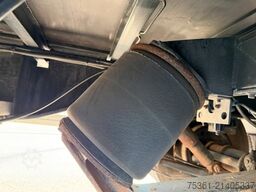  Wiese Gabel Stapler Transport Tieflader WINDE