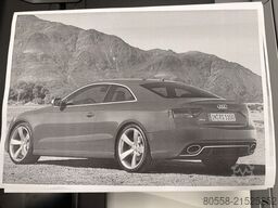 Monreso Monreso Monreso