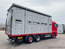 MAN TGX 26.440 6x2/4 Menke Livestock Veewagen Gross...