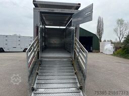 MAN TGX 26.440 6x2/4 Menke Livestock Veewagen Gross...