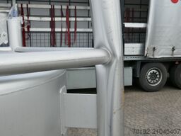 BMG Trade BMG Trade BMG Trade