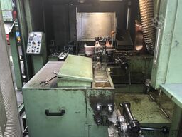 CARLO SALVI 246 / TR