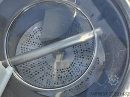 Nilma boxer Pelo Aglio