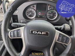 DAF XF 480